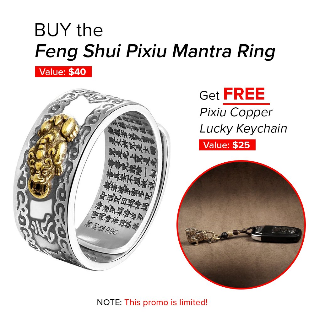 Buy the Feng Shui Pixiu Ring and Get FREE Pixiu Copper Lucky Keychain (LIMITED PROMO ONLY) - Buddha Power Store