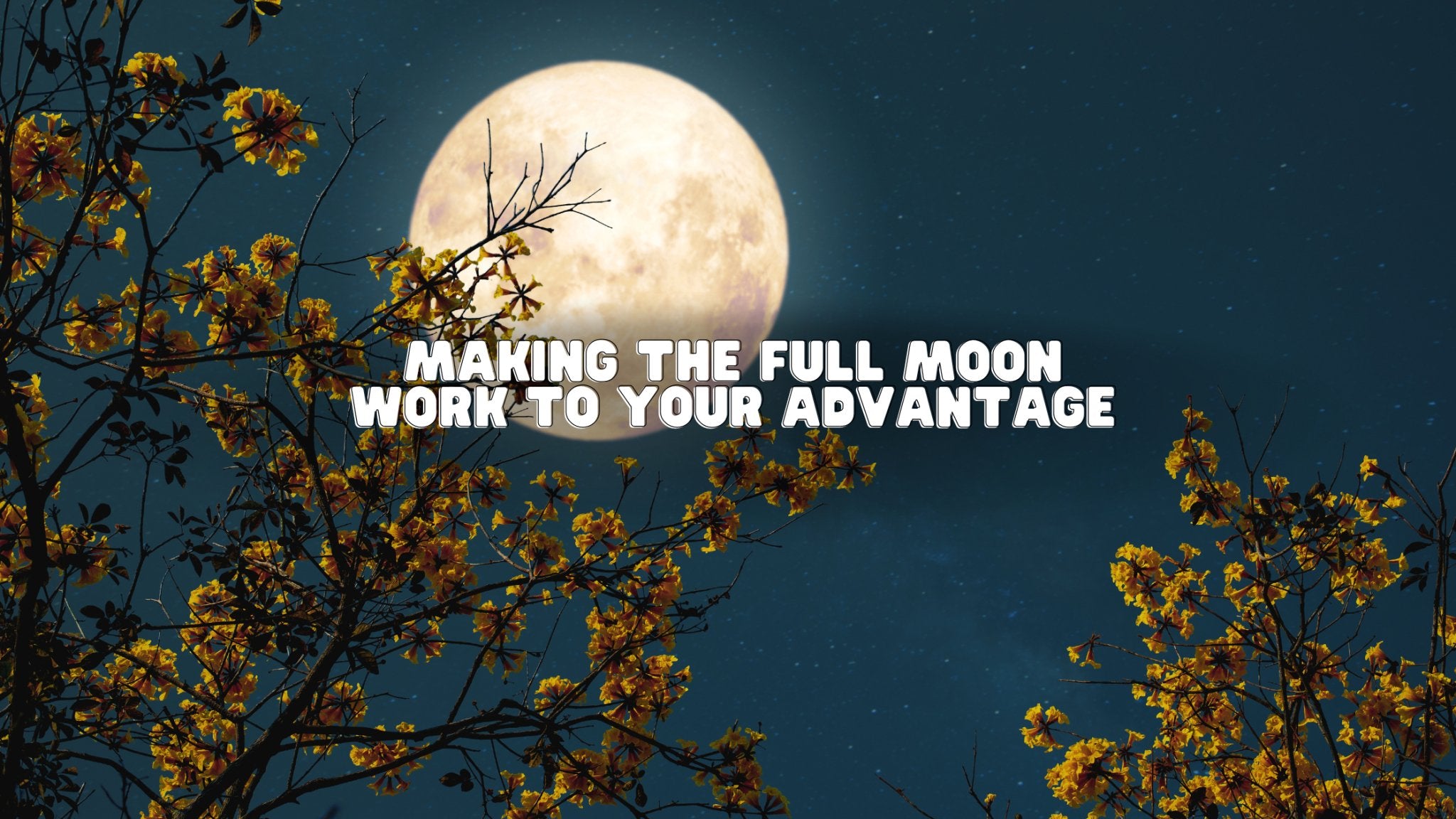 Making the Full Moon Work to Your Advantage - Buddha Power Store