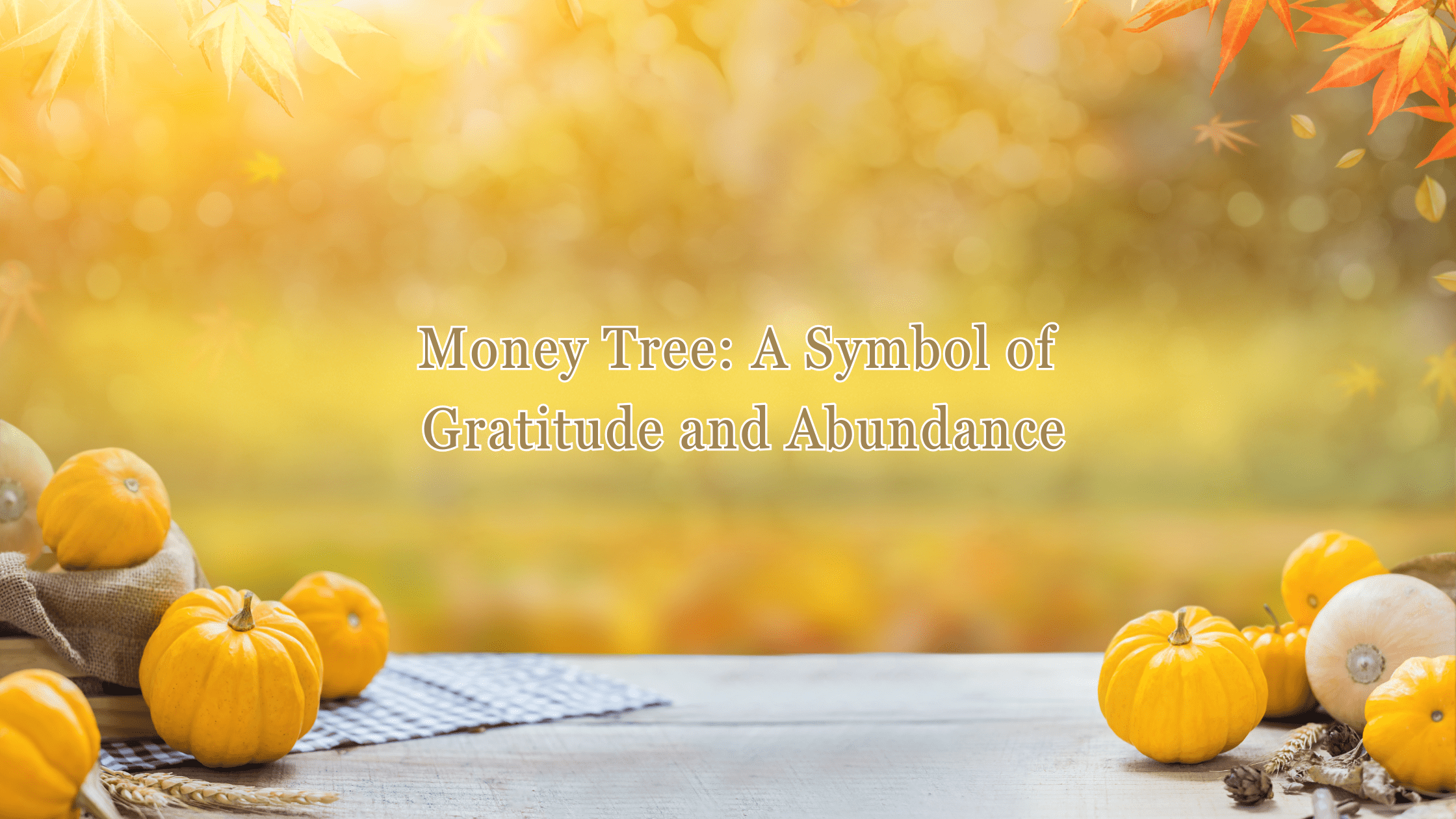 Money Tree: A Symbol of Gratitude and Abundance