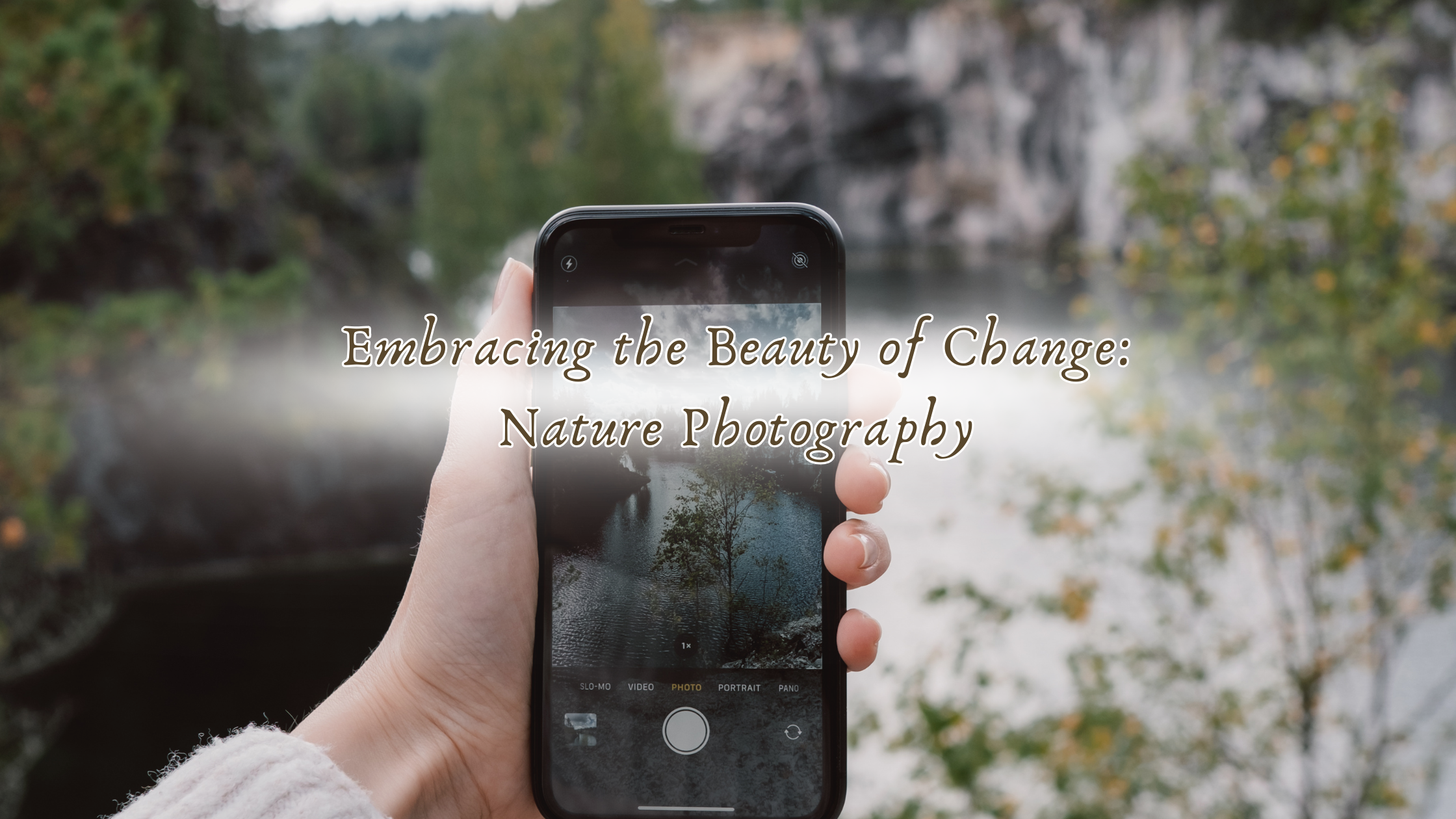 Embracing the Beauty of Change: Nature Photography