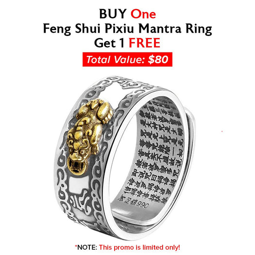 COMPRE 1 anillo Feng Shui Pixiu Mantra y obtenga 1 GRATIS (solo promoción limitada) - Buddha Power Store