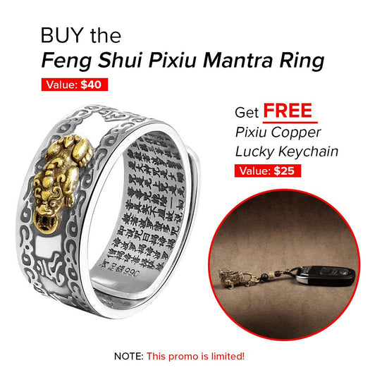 Achetez la bague Feng Shui Pixiu et obtenez GRATUITEMENT un porte-clés porte-bonheur en cuivre Pixiu (PROMO LIMITÉE UNIQUEMENT) - Buddha Power Store